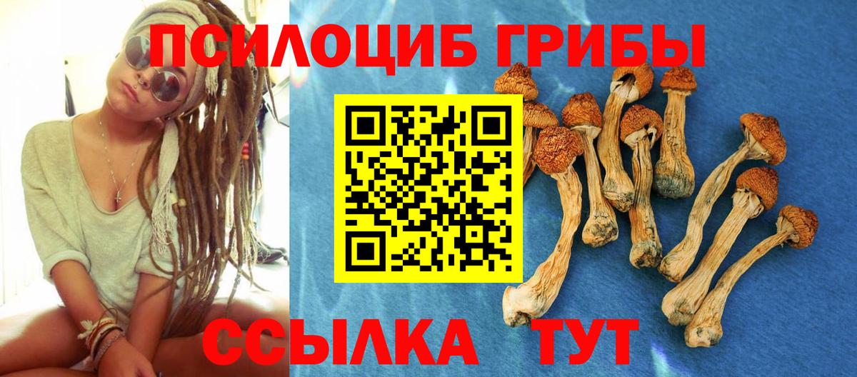 Шатура  Псилоцибиновые грибы прущие грибы  Вход с VPN 