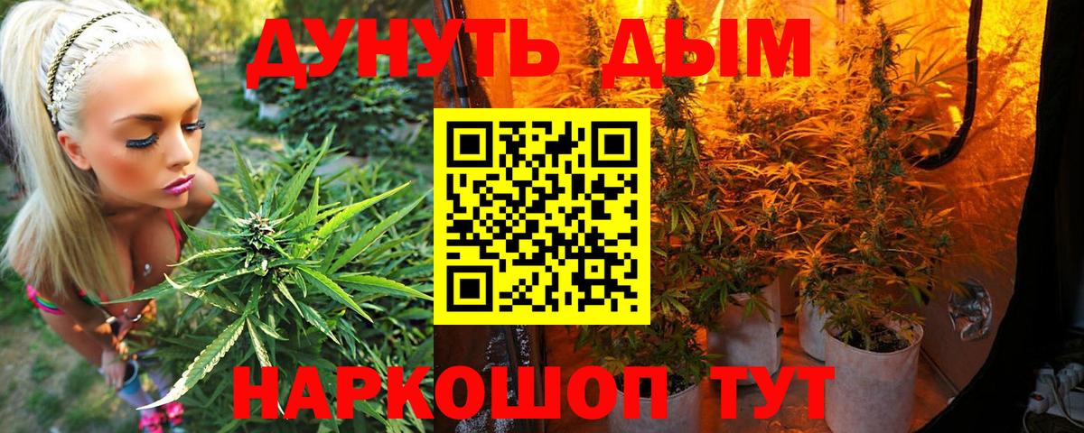 МАРИХУАНА White Widow  Шатура  Каннабис Ganja  Бошки Шишки Ganja  Марихуана VHQ 